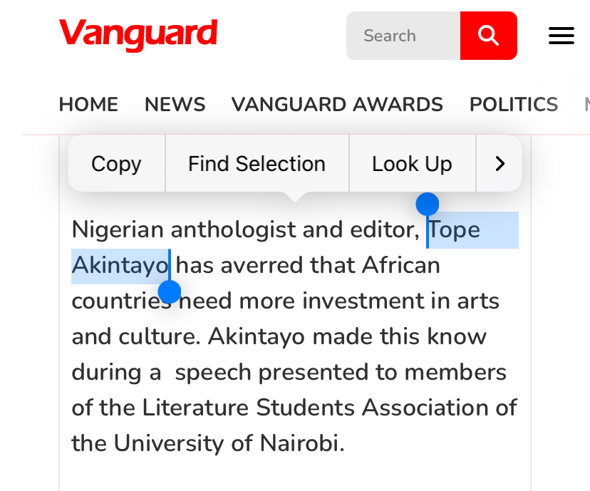 Read more about the article African countries need more investment in arts, culture — Tope Akintayo